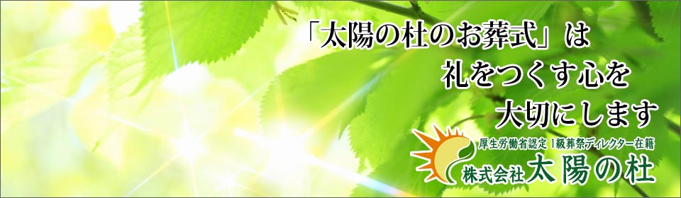 太陽の杜